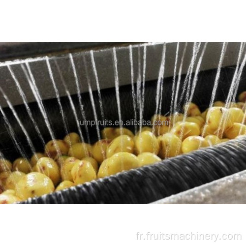 Machines de traitement des pommes de terre complètes